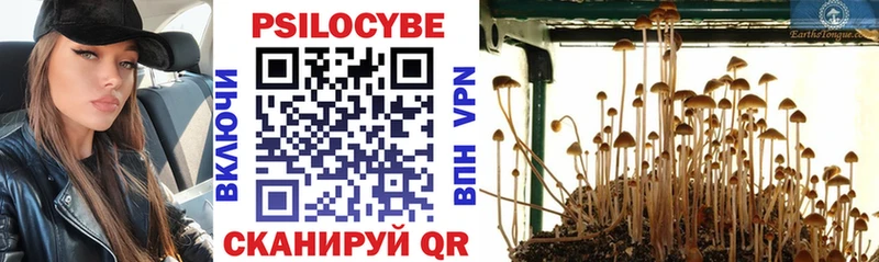 сколько стоит  shop официальный сайт  mega как войти  Псилоцибиновые грибы ЛСД  Волгореченск 